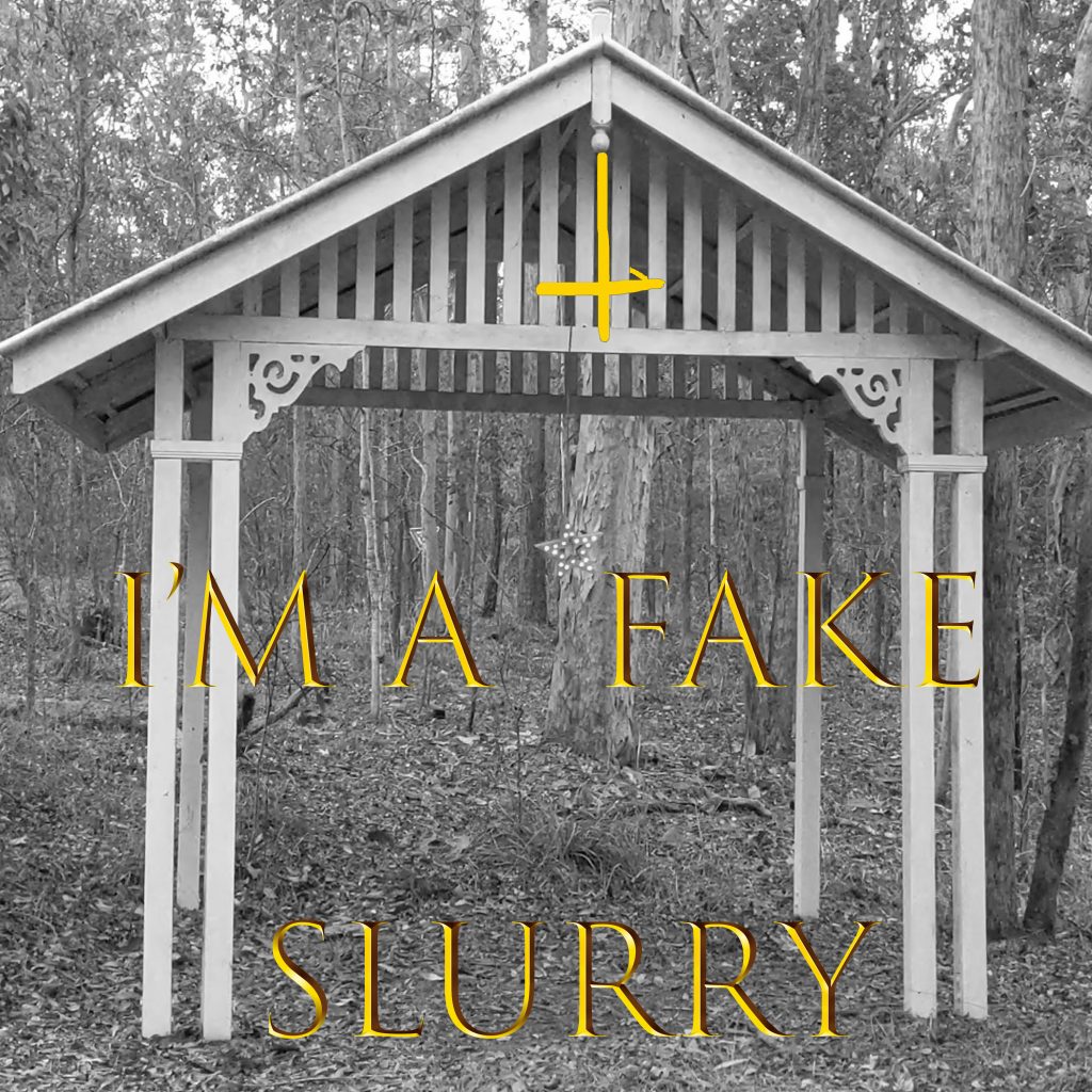 I'm a Fake Official Cover