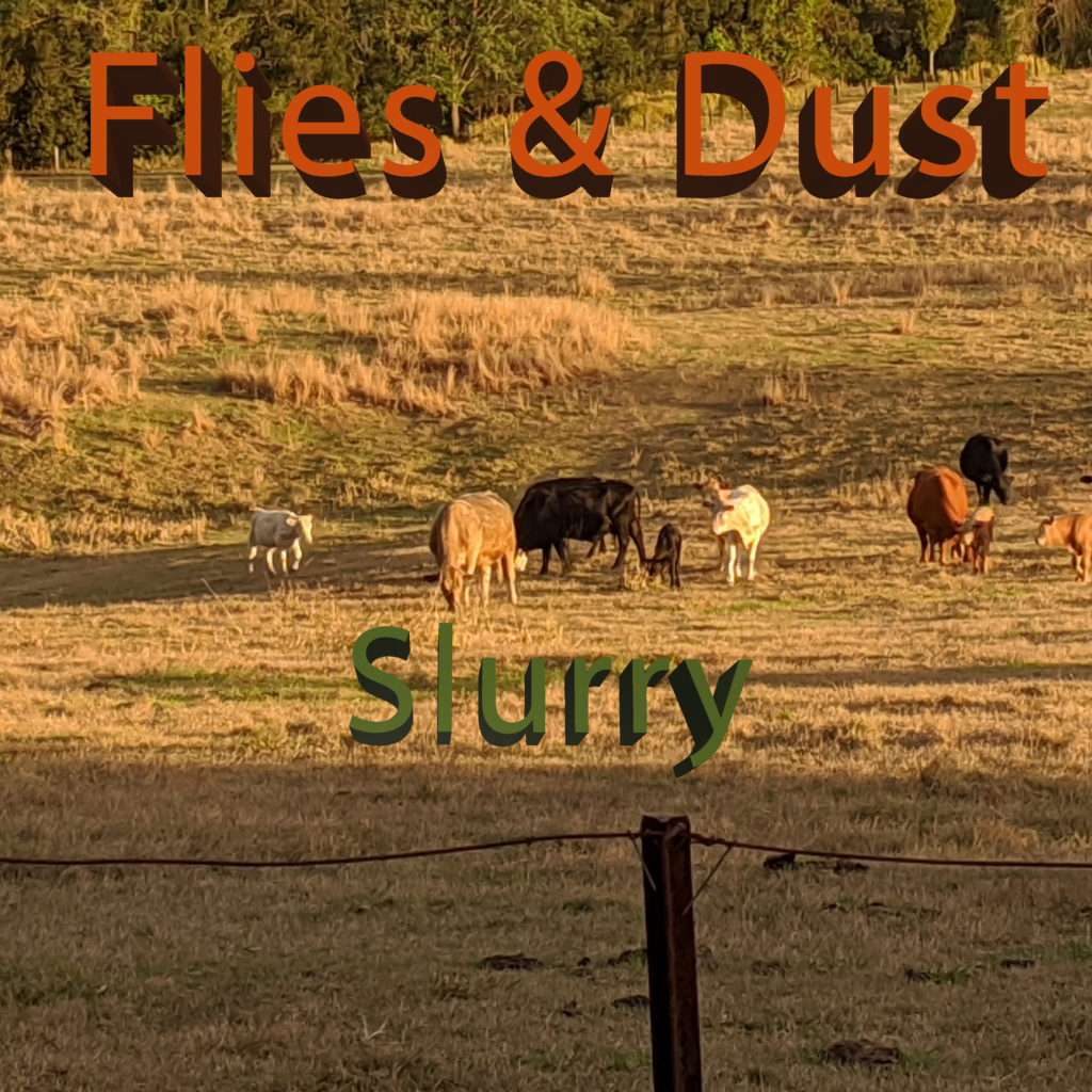 Flies and Dust